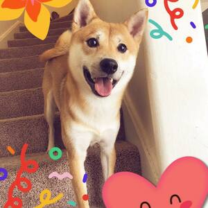 Simba Sanchez-Martinez